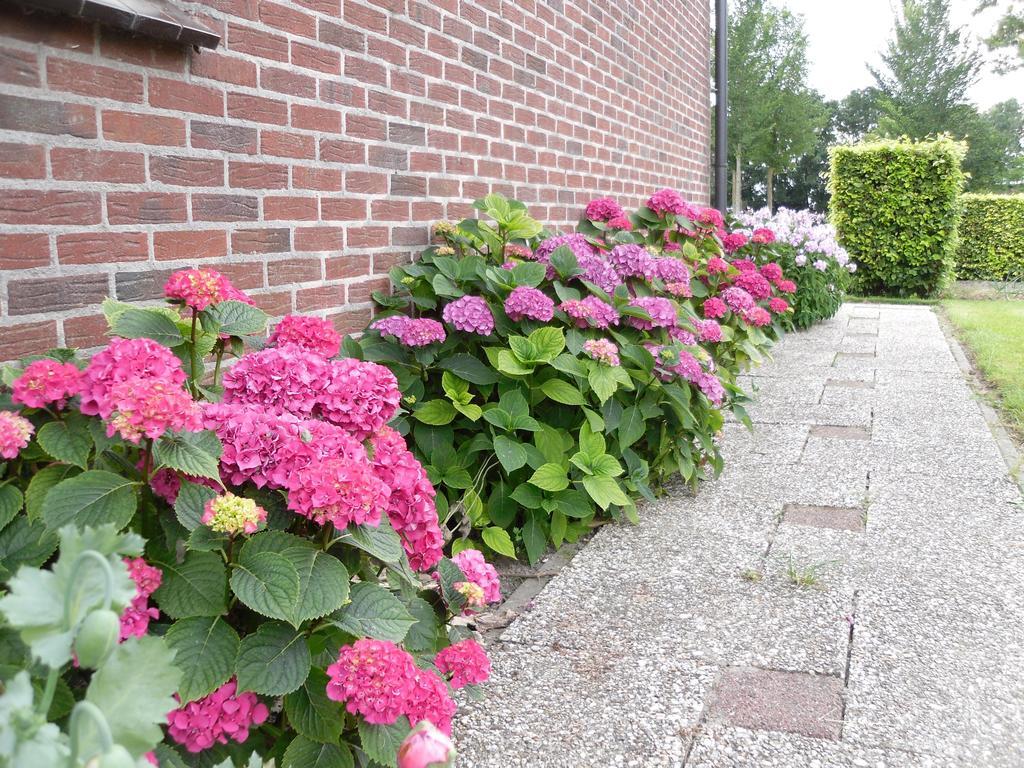 Nicolaashoeve Beemster Noordbeemster Exterior photo